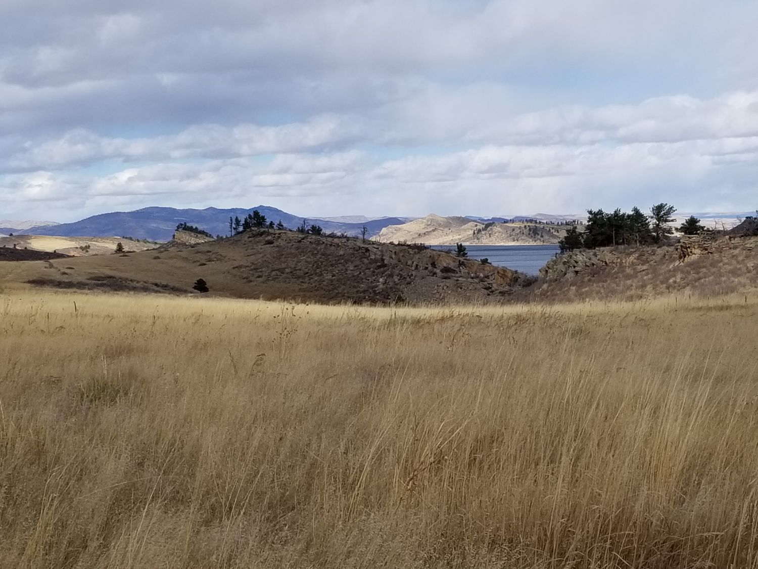 Shoreline and Quarry Ridge 